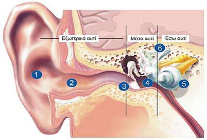 Πόνος και φλεγμονές στο αυτί: Αντιμετωπίστε τα με βότανα