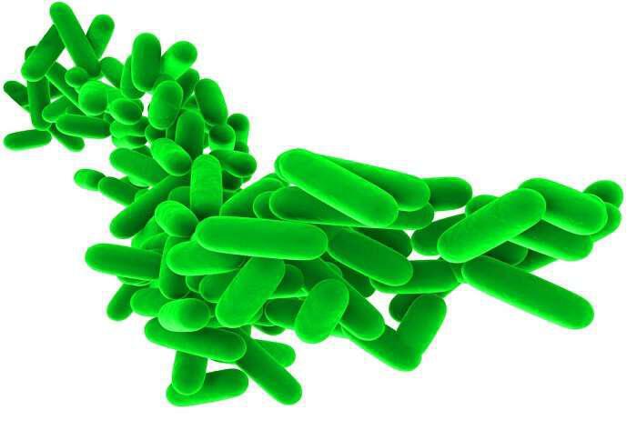 ΠΡΟΒΙΟΤΙΚΑ-Τα βακτηρίδια πού είναι υπέρ της ζωής