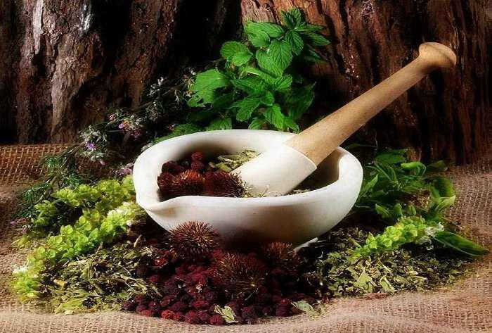 10 μαγικά βότανα για λοιμώξεις, μολύνσεις και φλεγμονές