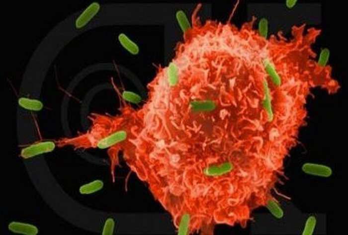 Οι 10 συν 1 κυριότερες αιτίες που προκαλούν καρκίνο