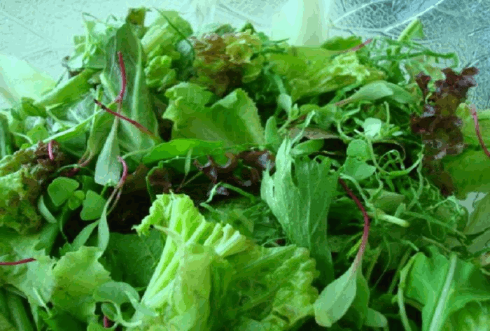 Πράσινα φυλλώδη λαχανικά: Πολύτιμα για τον οργανισμό μας