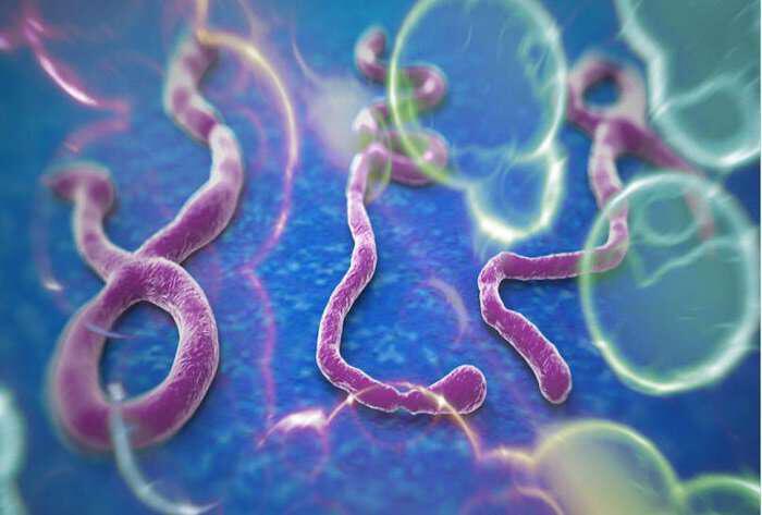 votana-antimetopisis-tou-ebola