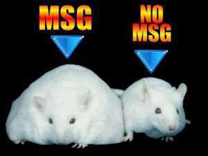 MSG-monosodium-glutamate-side-effects