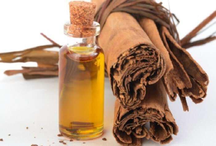 ftiahnoume-ladi-kanelas-Cinnamon-Oil