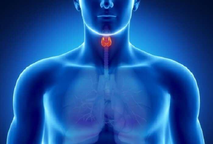 thyroid-thireoeidis-iodio-kai-ormones