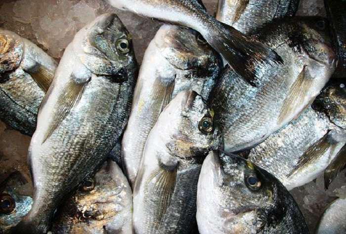 9 λόγοι για να απορρίψετε τα ψάρια των ιχθυοτροφείων