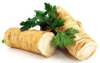horseradish-hreno