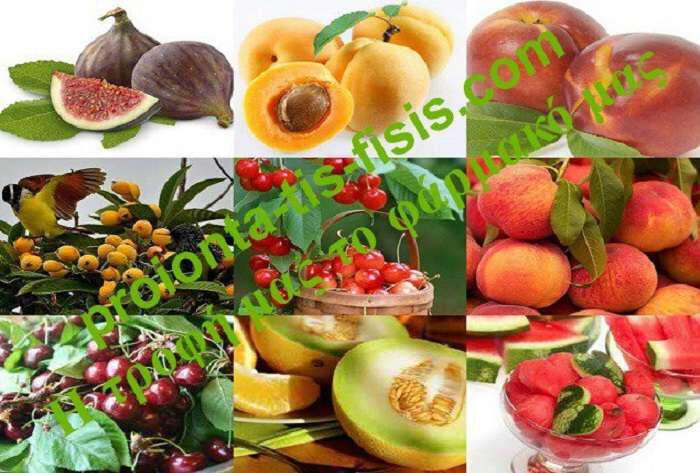 Καλοκαιρινά φρούτα: Διατροφική αξία και συμβουλές κατανάλωσης