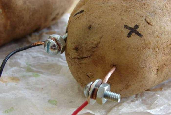 patates-10-hriseis-pou-den-xeroume