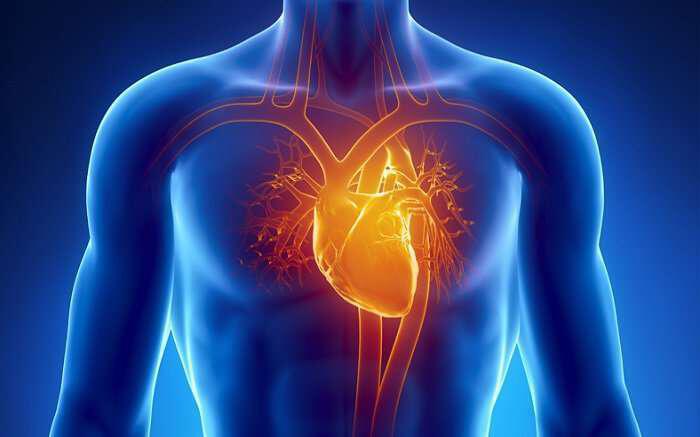 Πως προειδοποιεί η καρδιά;  μπλε ανθρώπινο σώμα