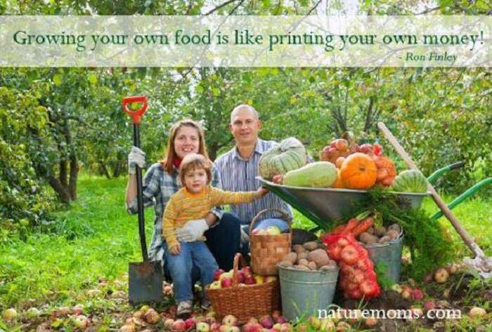 Το να καλλιεργείς την τροφή σου είναι σαν έχεις δικά σου «λεφτά»