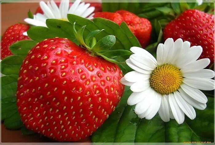 ΣΟΚ: Πιστοποιημένες οργανικές φράουλες που δεν είναι οργανικές