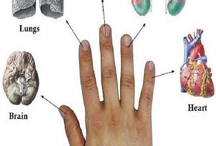 Κάθε δάχτυλο συνδέεται με 2 όργανα: Μέθοδοι θεραπείας σε 5 λεπτά