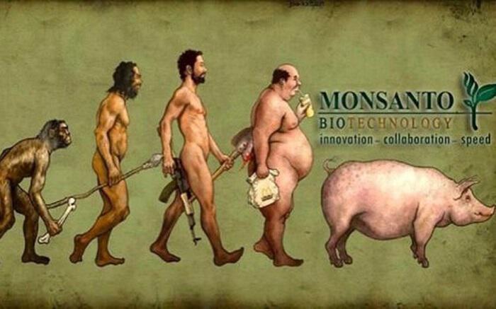 Monsanto: Η Βιοτεχνολογία, το Μονοπώλιο και τα Συμφέροντα