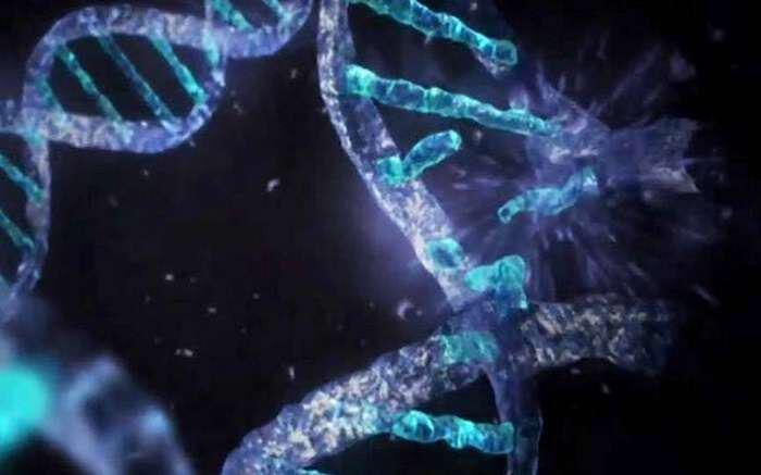 DNA: Μπορεί να Επαναπρογραμματιστεί με Λέξεις και Συχνότητες