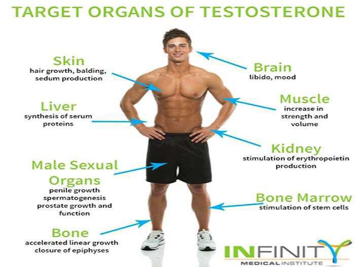 Επιπτώσεις μειωμένης τεστοστερόνης: Με ποιες τροφές θα την ενισχύσετε