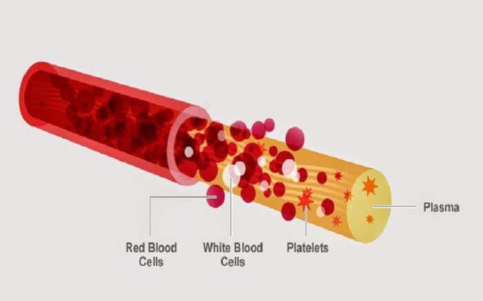 Θρέψτε το αίμα: Βελτιώνοντας το, βελτιώνεται και η υγεία