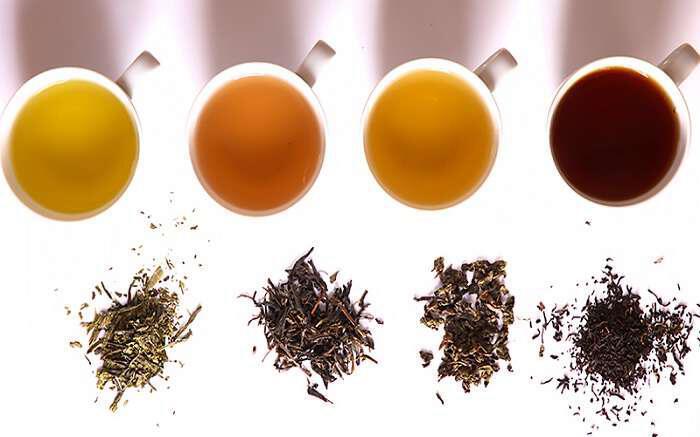 Ποιο τσάι είναι Αντικαρκινικό, καρδιοπροστατευτικό και λιποδιαλυτικό ταυτόχρονα;