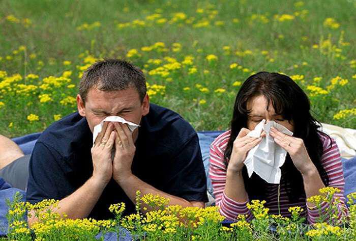 Αλλεργία: Τι είναι, πως εκδηλώνεται, συμπτώματα και πως αντιμετωπίζεται
