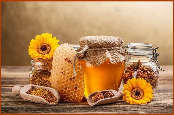 Η πολύτιμη μέλισσα και τα θαυματουργά προϊόντα της
