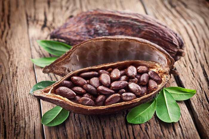 Καρποί κακάο ή cacao beans: Γεμάτοι αντιοξειδωτικά και ευεργετικές ιδιότητες