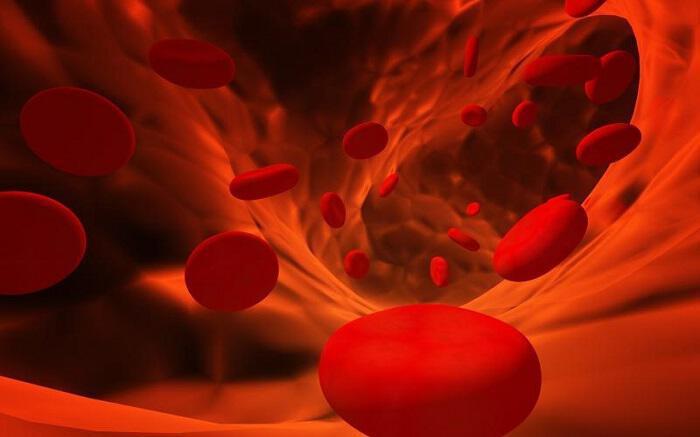 Αίμα: Ίσως το πολυτιμότερο στοιχείο μετά την καρδιά