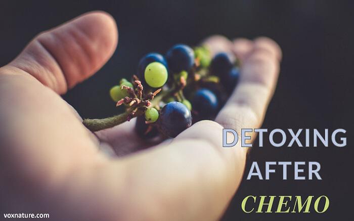 Detox Αποτοξίνωση: Φροντίστε το σώμα σας με detox επιλογές
