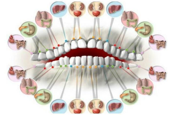 Δόντια: Συνδέονται με κάθε Όργανο μας και τις Ασθένειές του