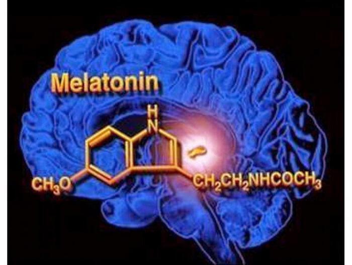 Οι πολλαπλοί ρόλοι της μελατονίνης