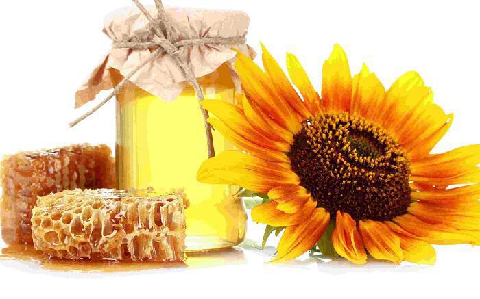 22 λόγοι για να τρώτε κάθε ημέρα μέλι