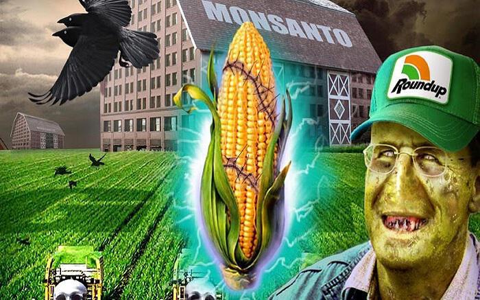 Φάκελος Monsanto, ένας γενετικός εφιάλτης
