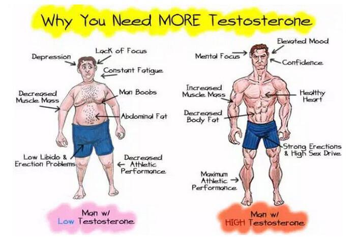 Η βασική αιτία μείωσης της τεστοστερόνης δεν είναι η ηλικία