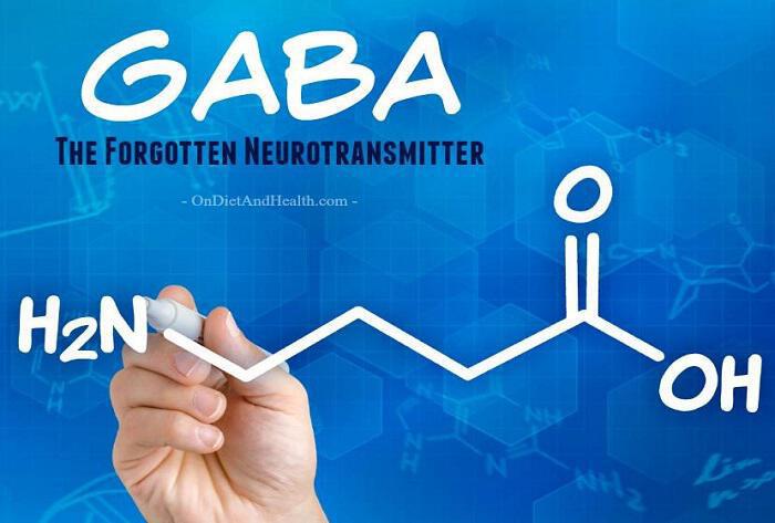 γ-αμινοβουτυρικό οξύ-GABA: Τι είναι, πως επιδρά στον εγκέφαλο, επιπτώσεις έλλειψης