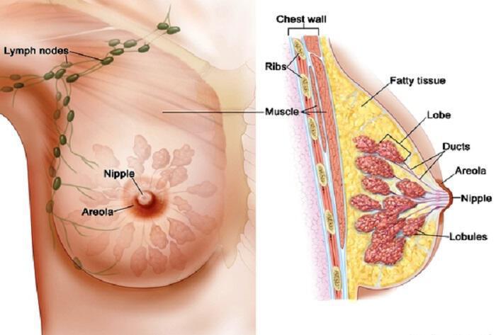 Πως να προλάβετε τον καρκίνο του μαστού