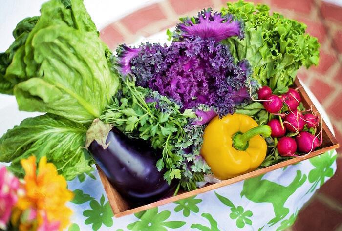Λαχανικά: Τροφή με όλα σχεδόν τα απαραίτητα θρεπτικά συστατικά