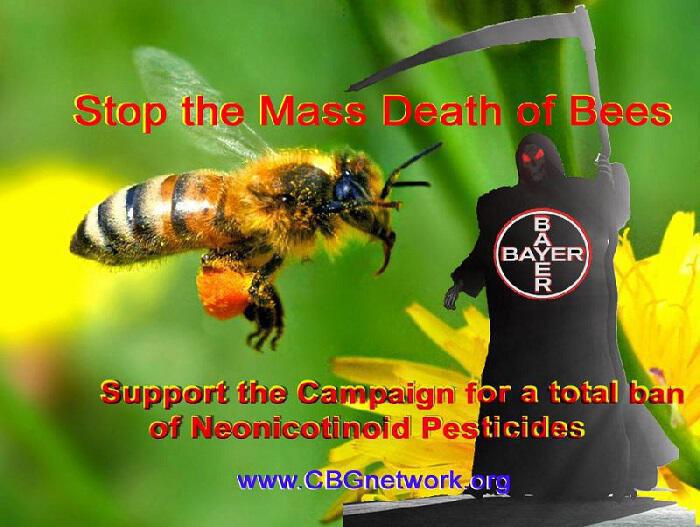 Εγκληματίες του οικοσυστήματος: Monsanto-Bayer Δολοφονούν τις Μέλισσες