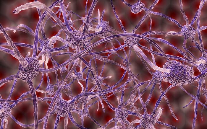 Νευρώνες, αναπτύσσονται όλη μας την ζωή και τροποποιούνται ανάλογα με τα προβλήματα που λύνουν