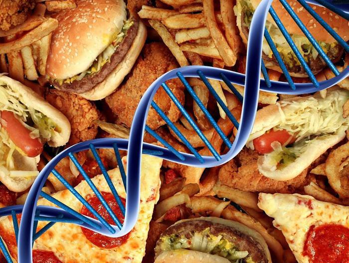 Πρόχειρο φαγητό: Επιδρά ΑΡΝΗΤΙΚΆ ακόμη και στο DNA