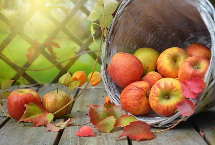 Μήλα: Δρουν αντικαρκινικά, αφαιρούν καρκινογόνα ραδιοϊσότοπα, διατηρούν τις αρτηρίες καθαρές