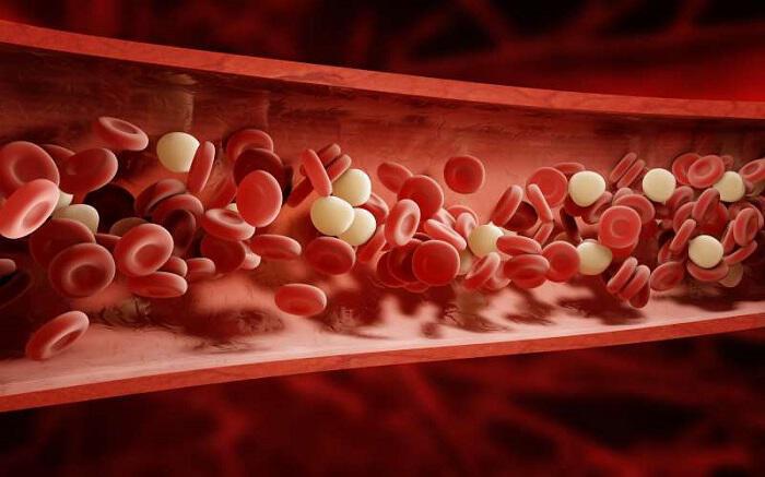 Ποιες βιταμίνες διευκολύνουν την κυκλοφορία του αίματος