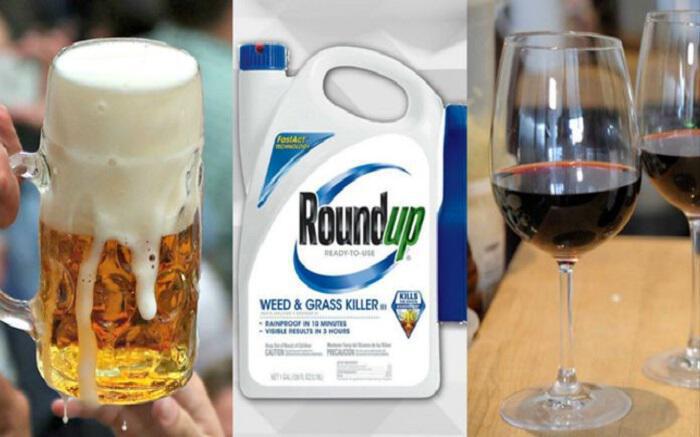 Ευρείας καταναλώσεως μπύρες και κρασιά περιέχουν την τοξική Glyphosate