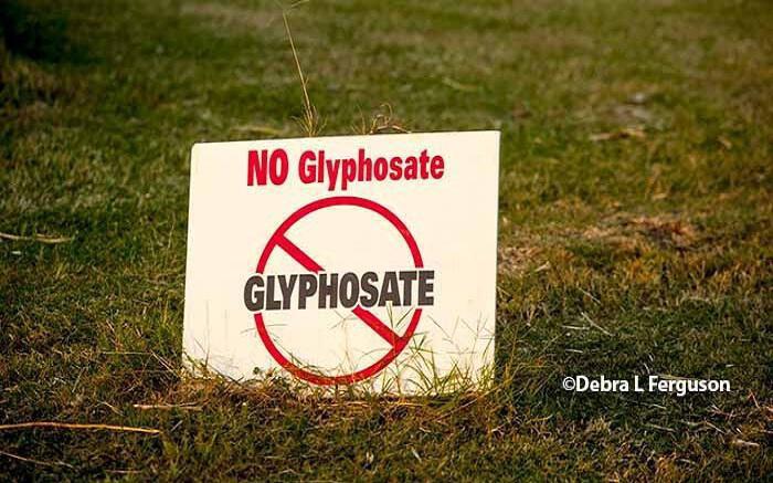 Glyphosate: Το πρώτο κράτος-μέλος της ΕΕ που την απαγόρευσε πλήρως
