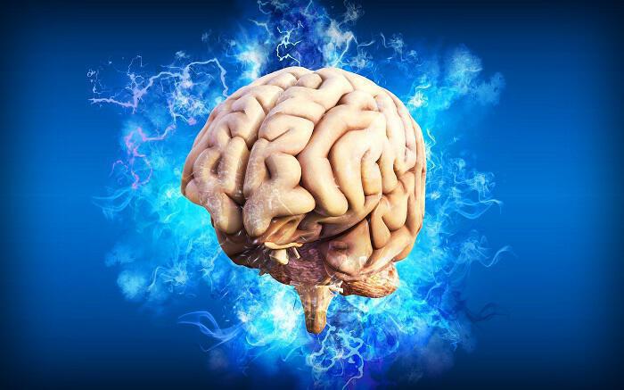Τι προστατεύει την μνήμη και τον εγκέφαλο