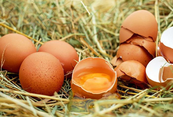 Μην αγοράζετε αυγά από φυλακισμένες κότες