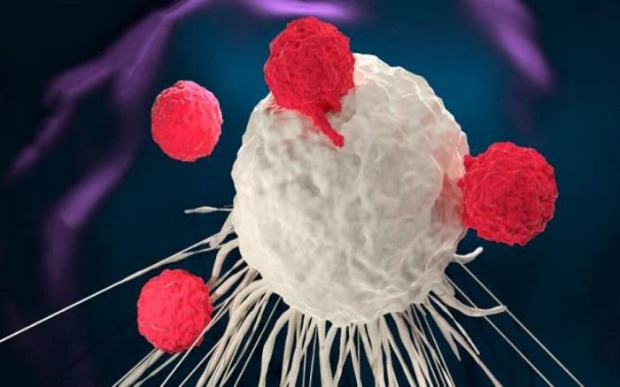 Ανοσοκύτταρο μπορεί να είναι το «κλειδί» ενάντια στον καρκίνο
