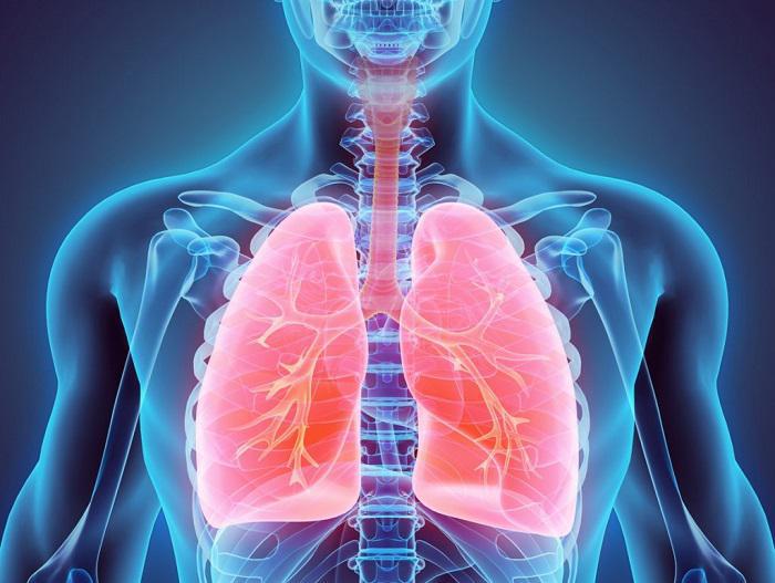 Ποιές τροφές βοηθούν το αναπνευστικό σύστημα;