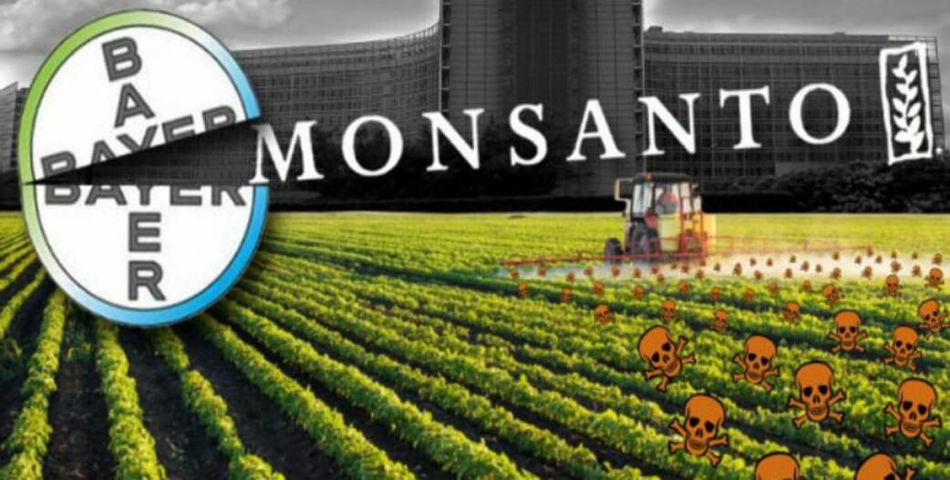 Η Monsanto παραδέχθηκε ότι χρησιμοποίησε παράνομα, τοξικό ζιζανιοκτόνο