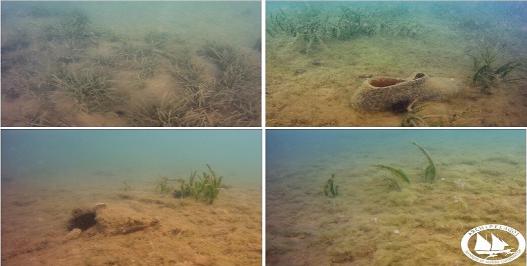 Ιχθυοκαλλιέργειες και περιβάλλον: Έρευνα δείχνει ένα νεκρό τοπίο~κατεστραμμένα θαλάσσια οικοσυστήματα