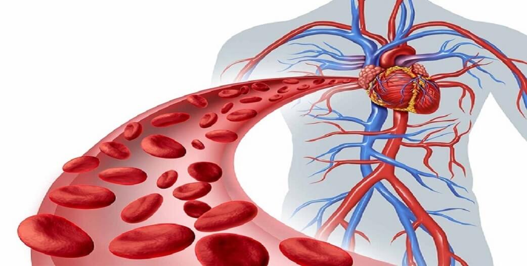 Καρδιαγγειακό: Συμπτώματα και αιτίες κακής κυκλοφορίας