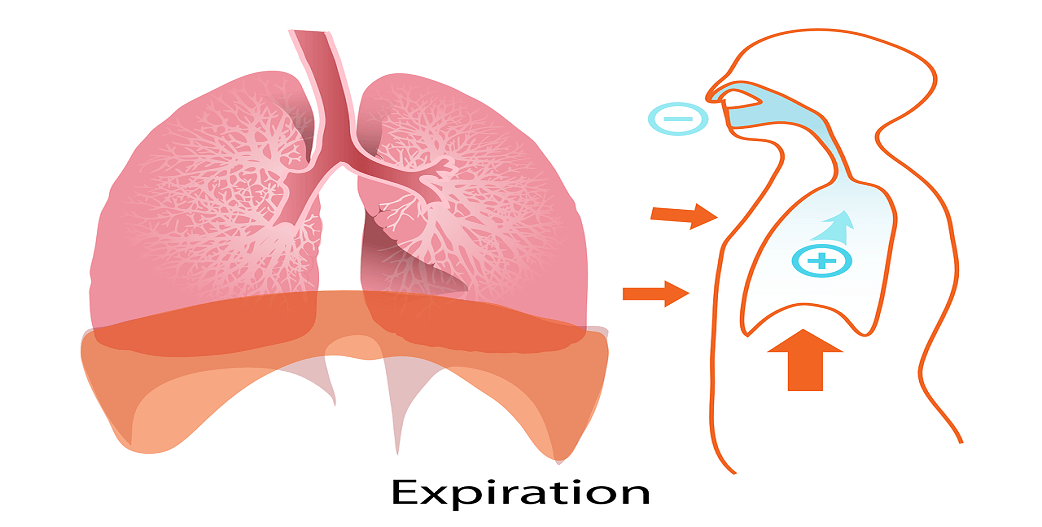 Που οφείλεται ο Καρκίνος του Πνεύμονα στους Μη Καπνιστές;